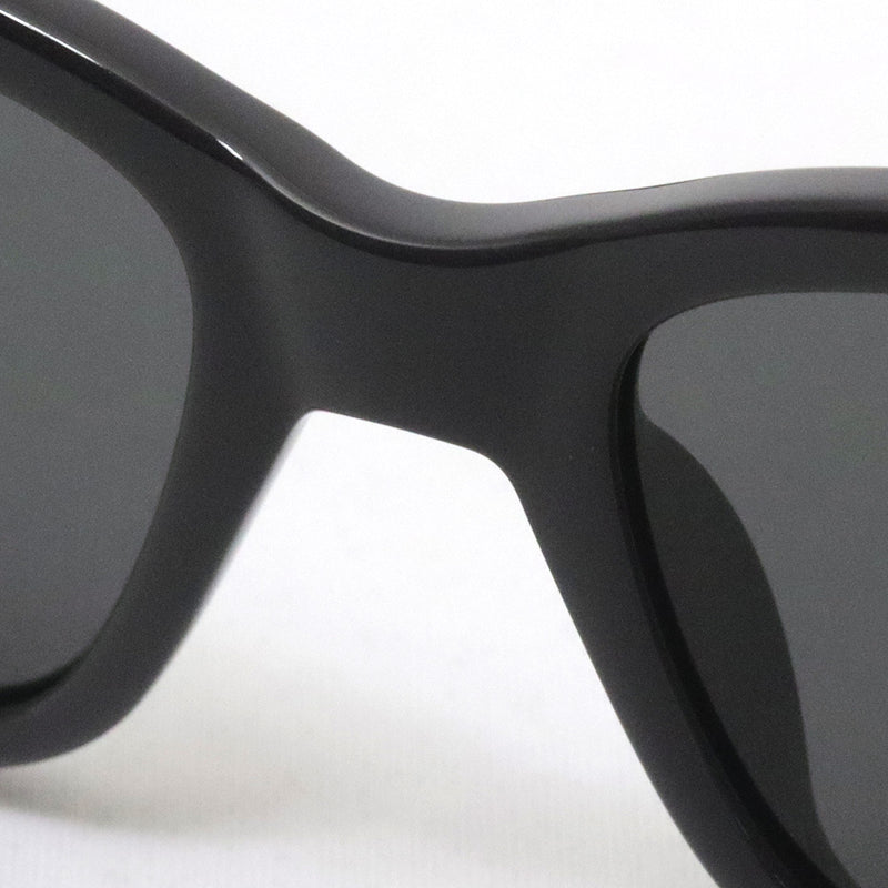 Gucci Sunglasses GUCCI GG1716S 003