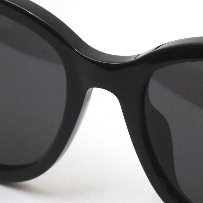 Gucci Sunglasses GUCCI GG1797SK 001