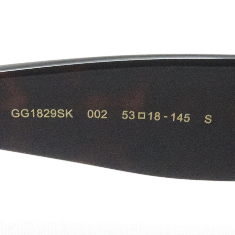Gucci Sunglasses GUCCI GG1829SK 002