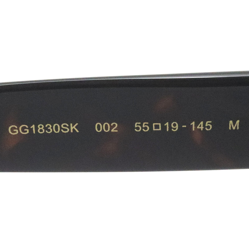 Gucci Sunglasses GUCCI GG1830SK 002