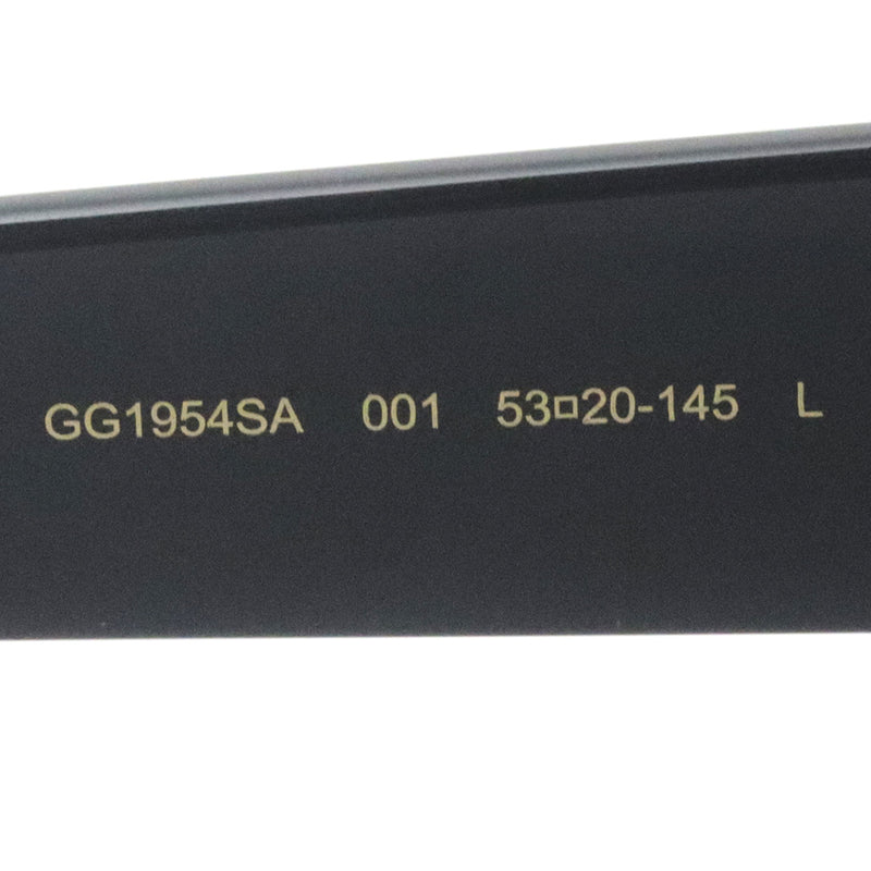 グッチ サングラス GUCCI GG1954SA 001 53