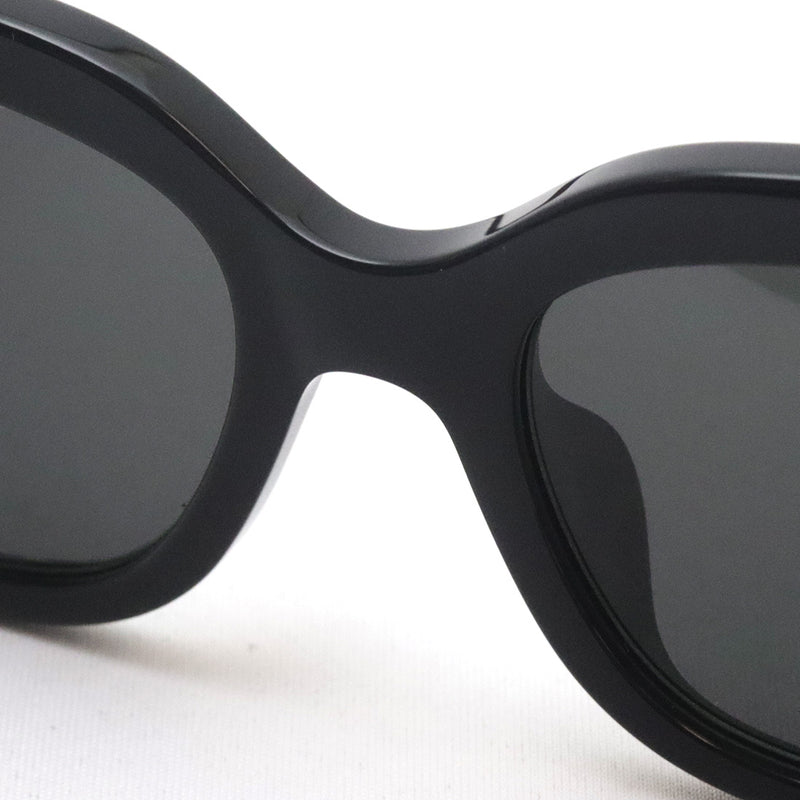 グッチ サングラス GUCCI GG1979SK 001 52