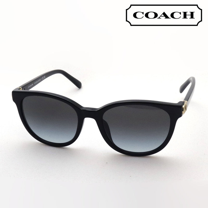 Entrenador de gafas de sol Entrenador HC8350U 50028G