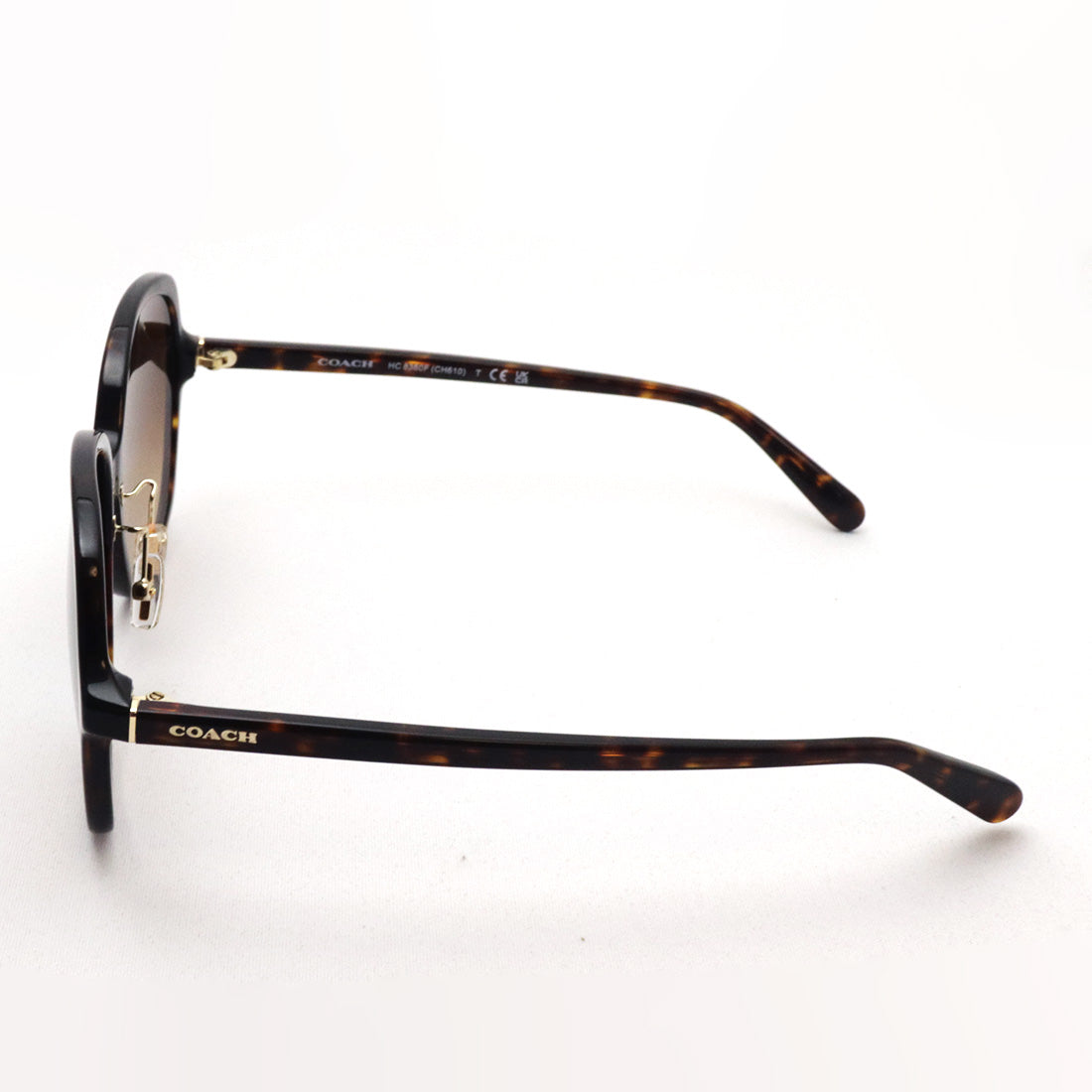 Coach sunglasses Coach HC8360F 512074