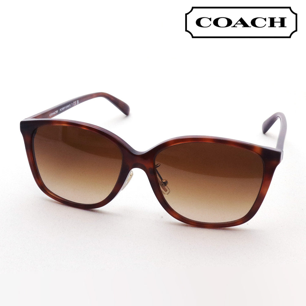 COACH HC 8361F ICH6177 サングラス COACH HC 8361F ICH6177 サングラス - メルカリ