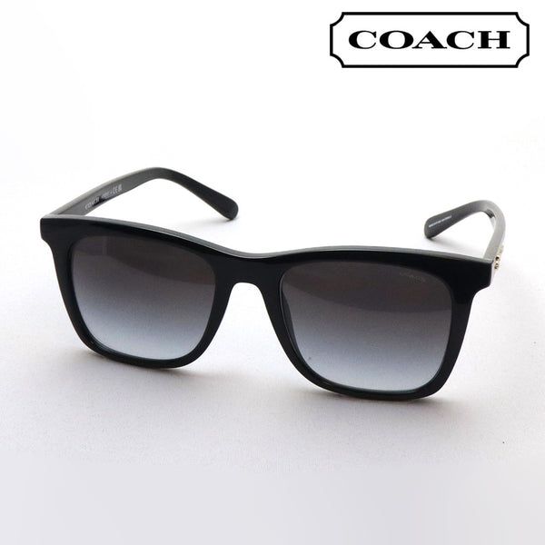 Entrenador de gafas de sol Entrenador HC8374F 50028G Disney Capsule Collection