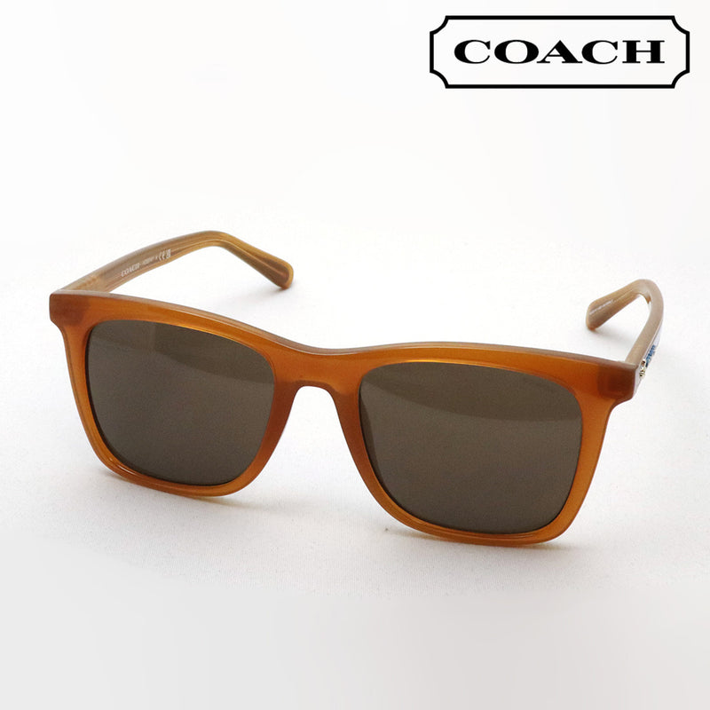 Coach sunglasses 2025