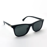 【POLO RALPH LAUREN/ポロラルフローレン 】スクエア サングラス PH4220F 500187 55