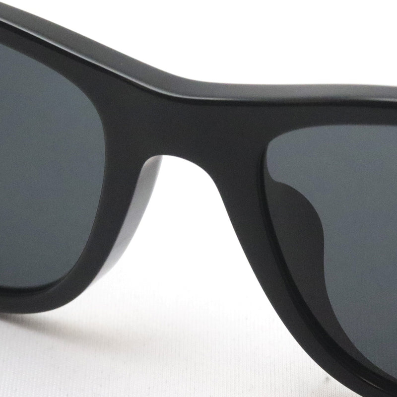 【POLO RALPH LAUREN/ポロラルフローレン 】スクエア サングラス PH4220F 500187 55