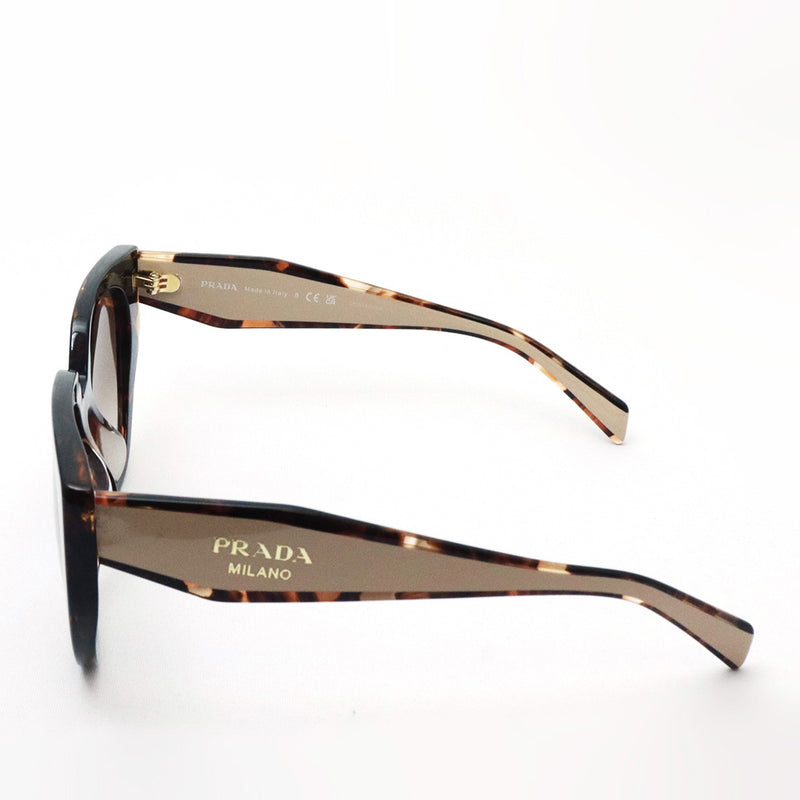 プラダ サングラス PRADA PR14WSF 01R0A6 53