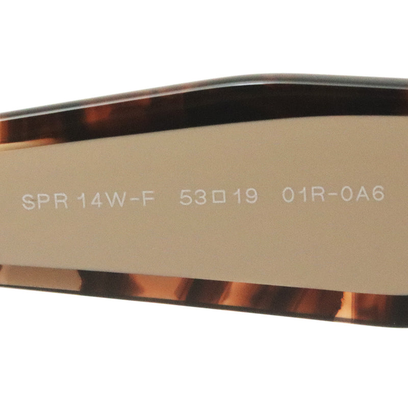 プラダ サングラス PRADA PR14WSF 01R0A6 53