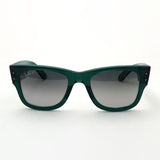 アウトレット レイバン 偏光サングラス Ray-Ban RB0840S 6615M3