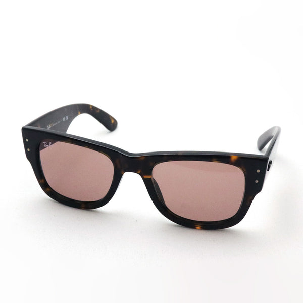 レイバン サングラス Ray-Ban RB0840SF 9021A 52