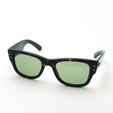 レイバン サングラス Ray-Ban RB0840SF 9024E 52