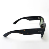 レイバン サングラス Ray-Ban RB0840SF 9024E 52