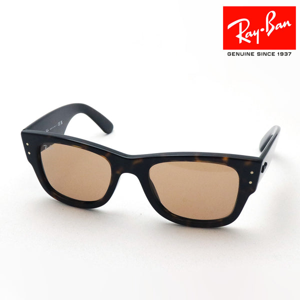 レイバン サングラス Ray-Ban RB0840SF 90253 52