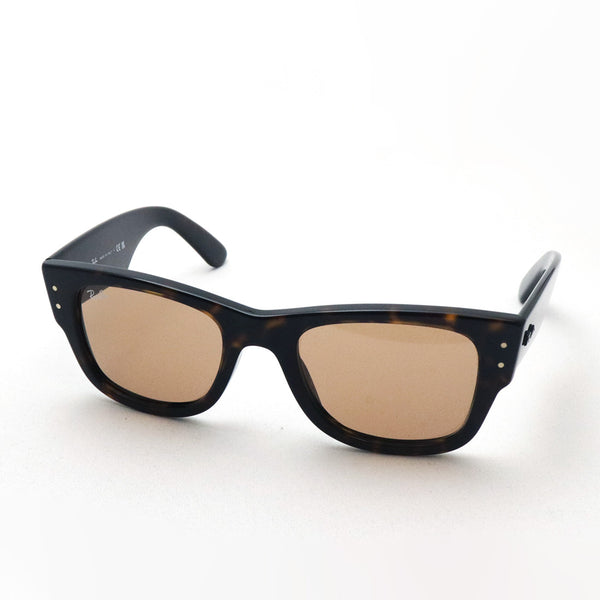 レイバン サングラス Ray-Ban RB0840SF 90253 52