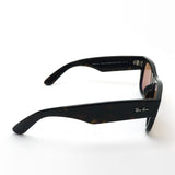 レイバン サングラス Ray-Ban RB0840SF 90253 52