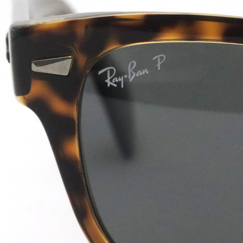 アウトレット レイバン 偏光サングラス Ray-Ban RB0880SF 129248