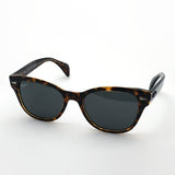 アウトレット レイバン 偏光サングラス Ray-Ban RB0880SF 129248