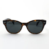 アウトレット レイバン 偏光サングラス Ray-Ban RB0880SF 129248