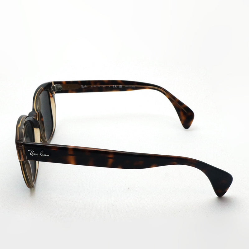アウトレット レイバン 偏光サングラス Ray-Ban RB0880SF 129248