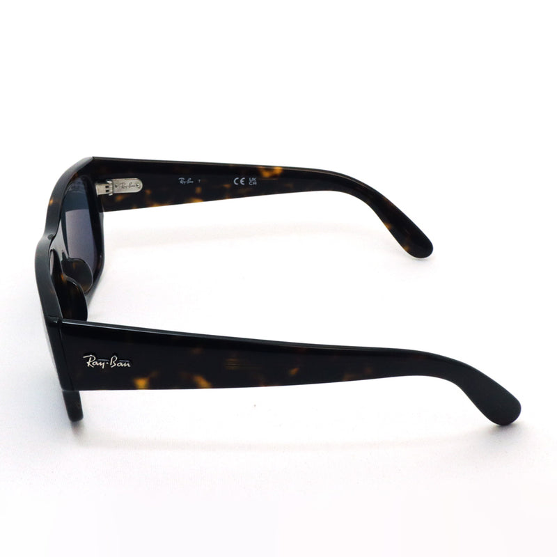 レイバン サングラス Ray-Ban CARLOS カルロス RB0947SF 902R5 56 スクエア