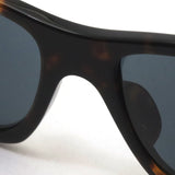 レイバン サングラス Ray-Ban CARLOS カルロス RB0947SF 902R5 56 スクエア