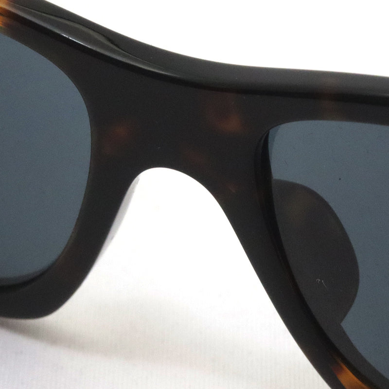 レイバン サングラス Ray-Ban CARLOS カルロス RB0947SF 902R5 56 スクエア