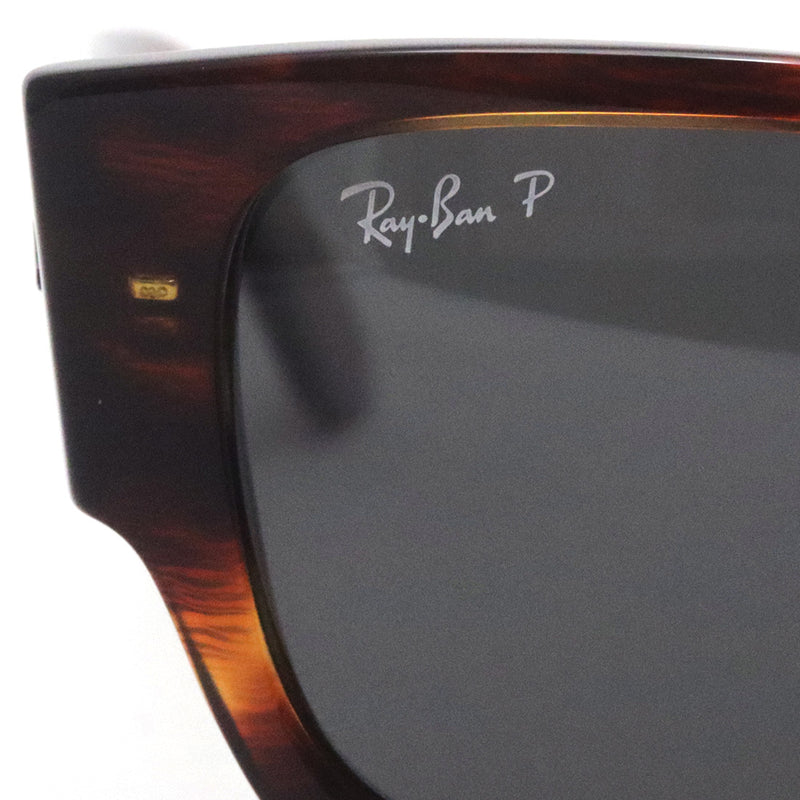レイバン 偏光サングラス Ray-Ban CARLOS カルロス RB0947SF 95448 56 スクエア