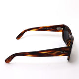 レイバン 偏光サングラス Ray-Ban CARLOS カルロス RB0947SF 95448 56 スクエア