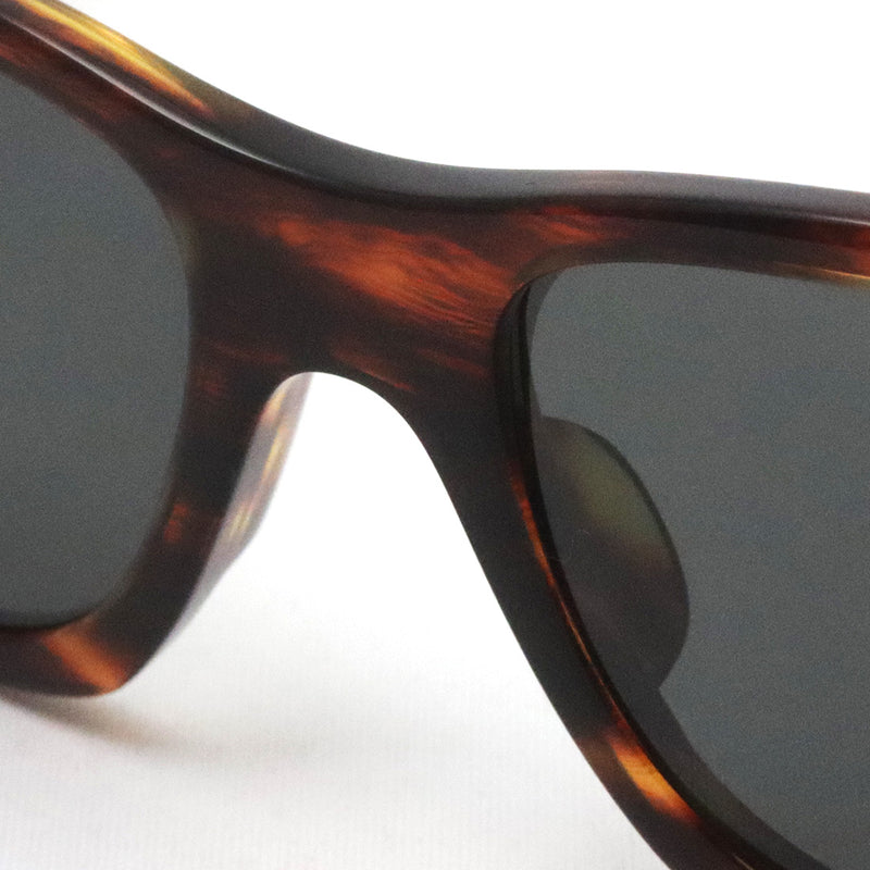 レイバン 偏光サングラス Ray-Ban CARLOS カルロス RB0947SF 95448 56 スクエア