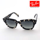 Ray-Ban Sunglasses Ray-Ban RB2186 133371 State Street