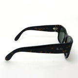 アウトレット レイバン サングラス Ray-Ban RB2187 90231 ウェイファーラー ノマド
