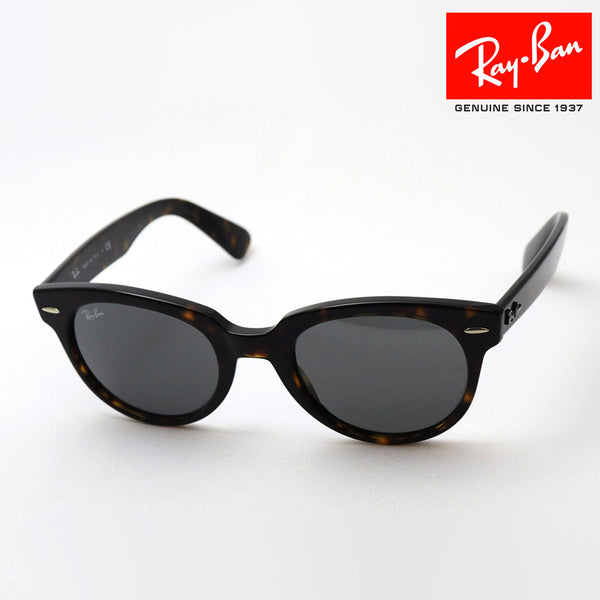 レイバン サングラス Ray-Ban RB2199 902B1 オリオン