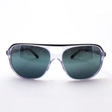 レイバン 偏光サングラス Ray-Ban RB2205 1294G6