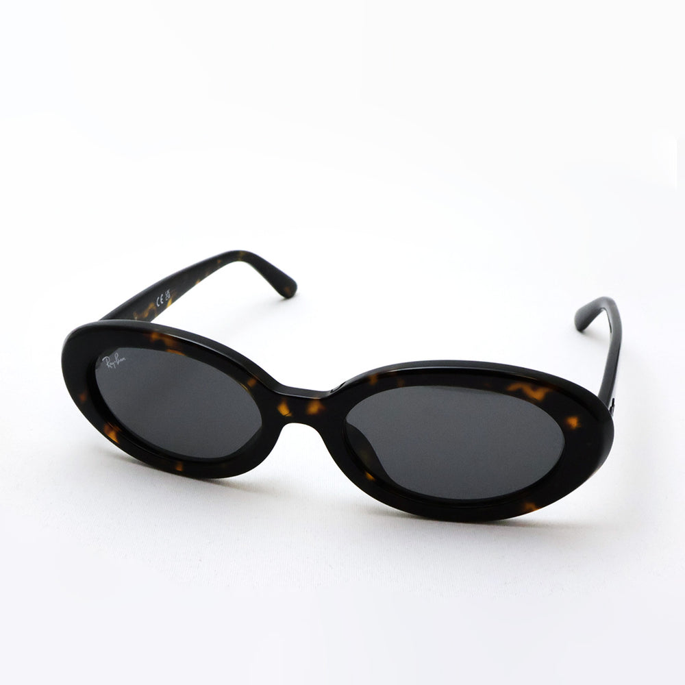 Ray Ban w3233 オーバルサングラス レイバン公式ストア】 Ray-Ban® RB3684 POLARIZED+ LENSES サングラス