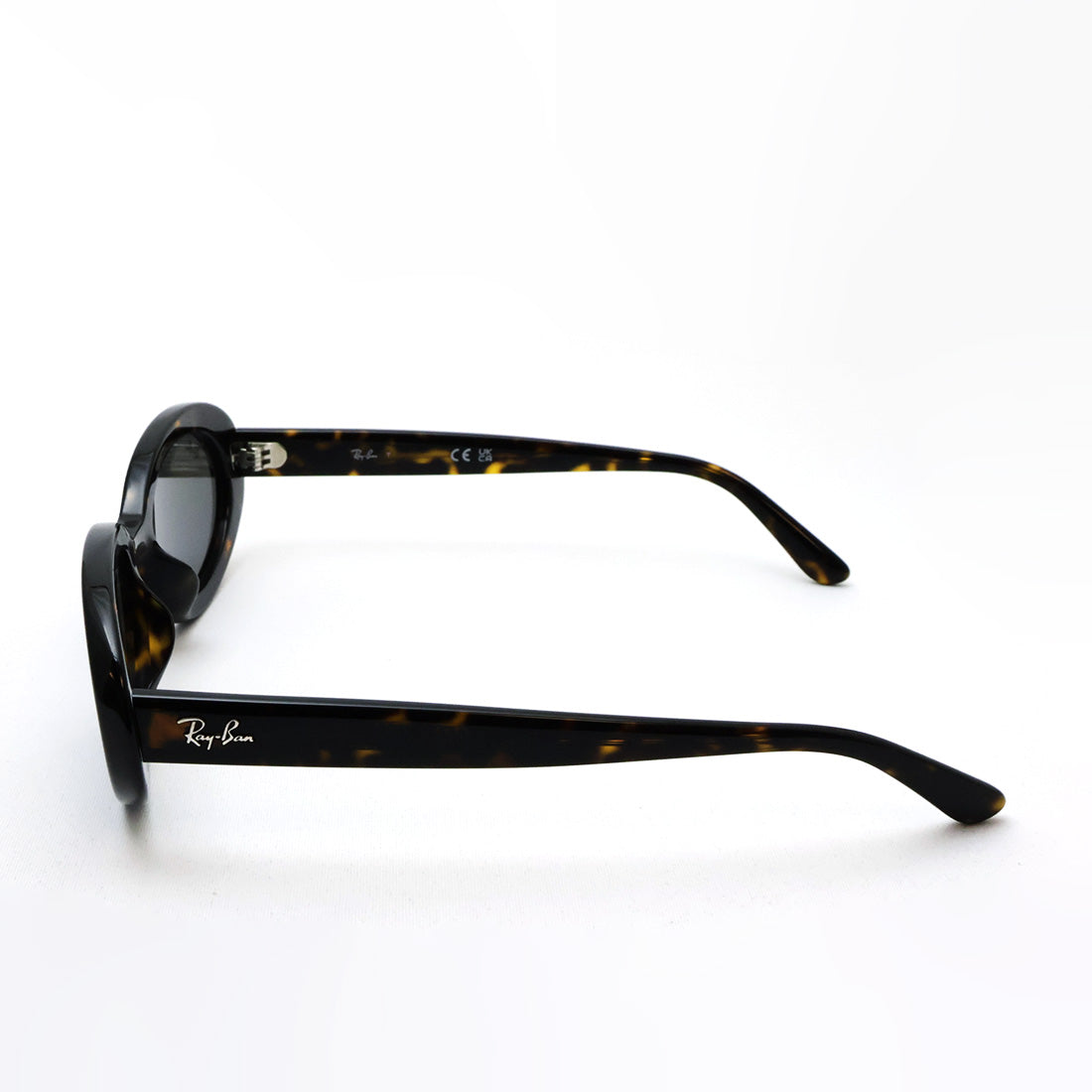 レイバン サングラス Ray-Ban RB2223F 902B1 54 オーバルトータス系