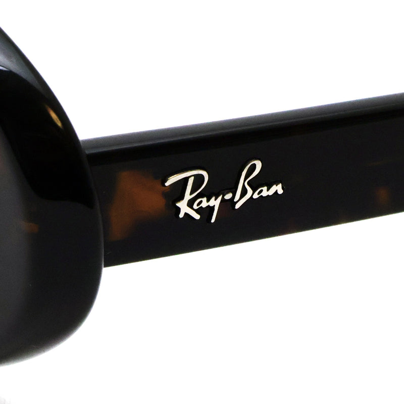 レイバン サングラス Ray-Ban RB2223F 902B1 54 オーバルトータス系