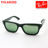 Ray-Ban Polarized Sunglasses Ray-Ban RB2283F 6659G4 Mr. Bank