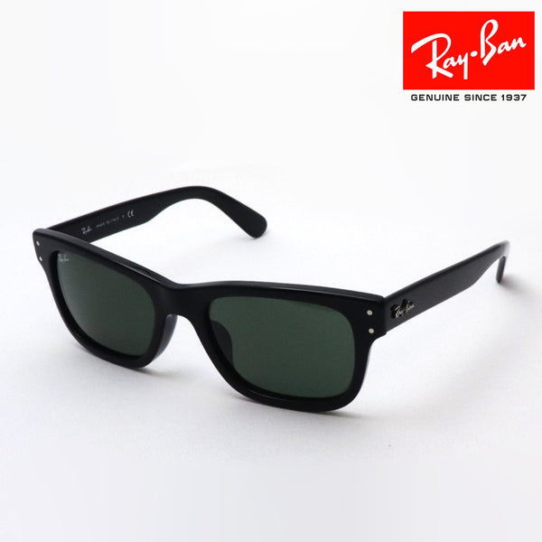 Ray-Ban Sunglasses Ray-Ban RB2283F 90131 Mr. Bank