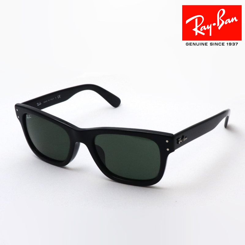 レイバン サングラス Ray-Ban RB2283F 90131 ミスターバーバンク