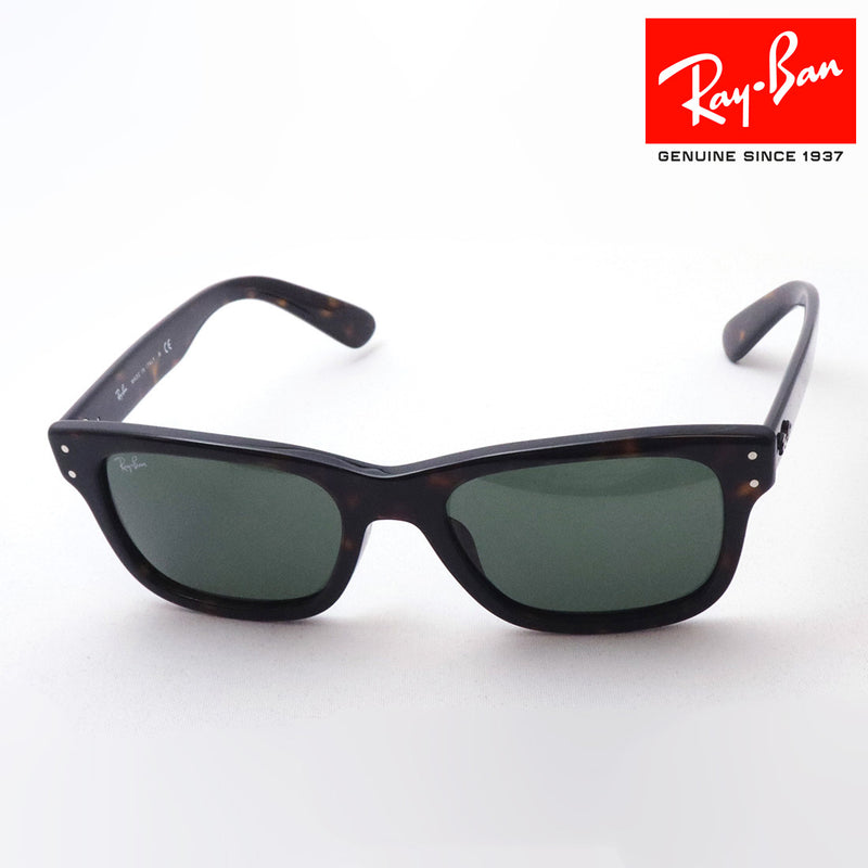 レイバン サングラス Ray-Ban RB2283F 90231 ミスターバーバンク