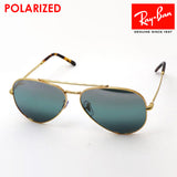 Ray-Ban Polarized Sunglasses Ray-Ban RB3625 9196G6