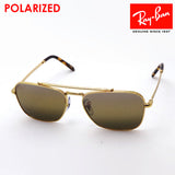 Ray-Ban Polarized Sunglasses Ray-Ban RB3636 9196G5