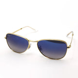 レイバン 偏光サングラス Ray-Ban RB3733 00178