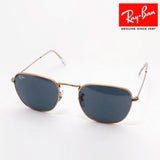 Gafas de sol Ray-Ban Ray-Ban RB3857 9202R5 Frank