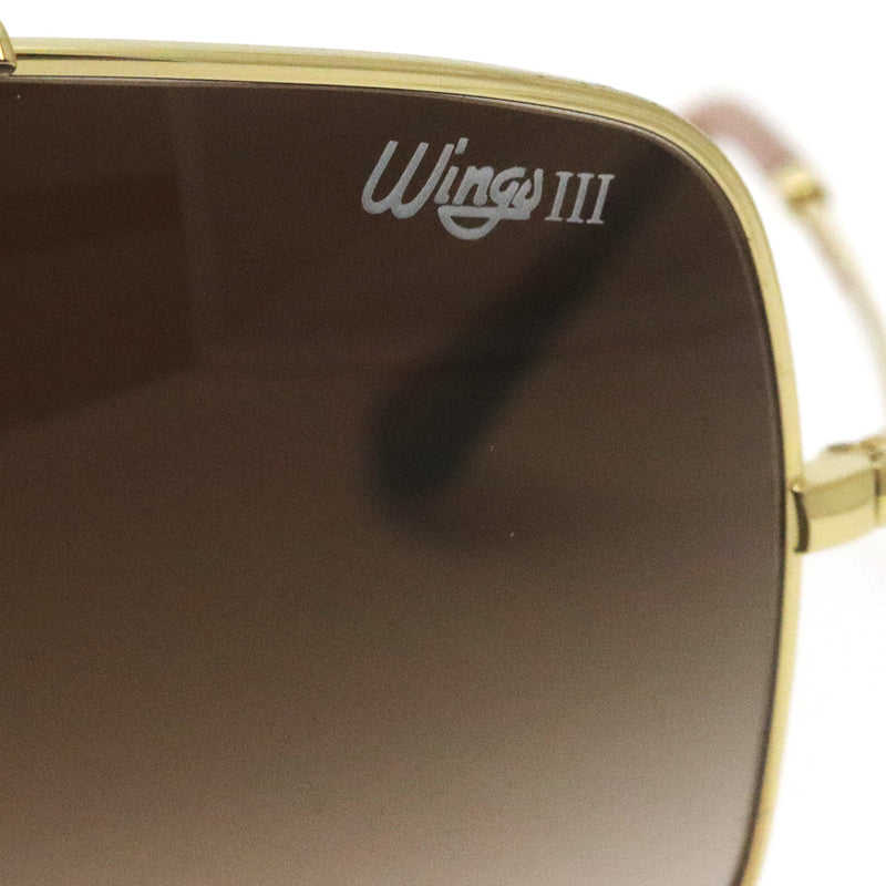 レイバン サングラス Ray-Ban RB3897 00113 Wings 3