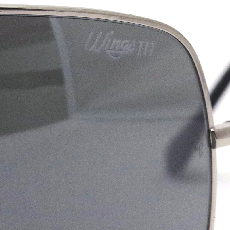 レイバン サングラス Ray-Ban RB3897 0036G Wings 3