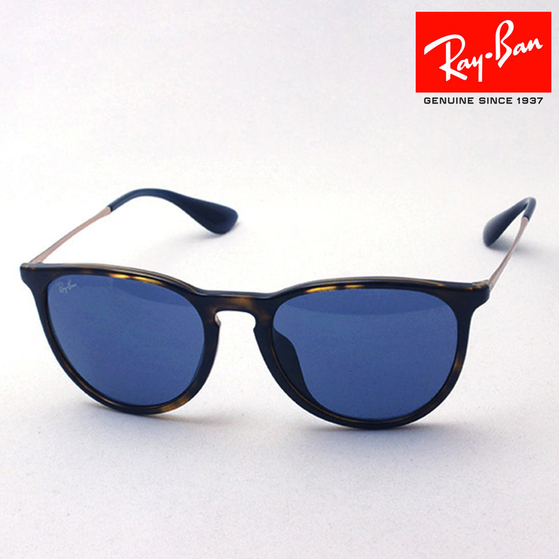 Ray-Ban Sunglasses Ray-Ban RB4171F 639080 Erica